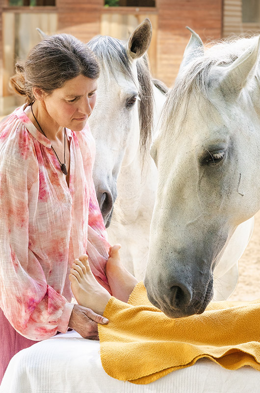 Tiergestützte Geistheilung